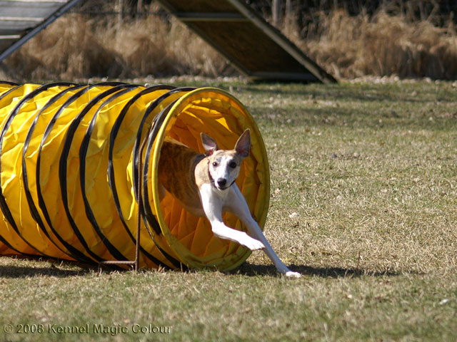 Agility