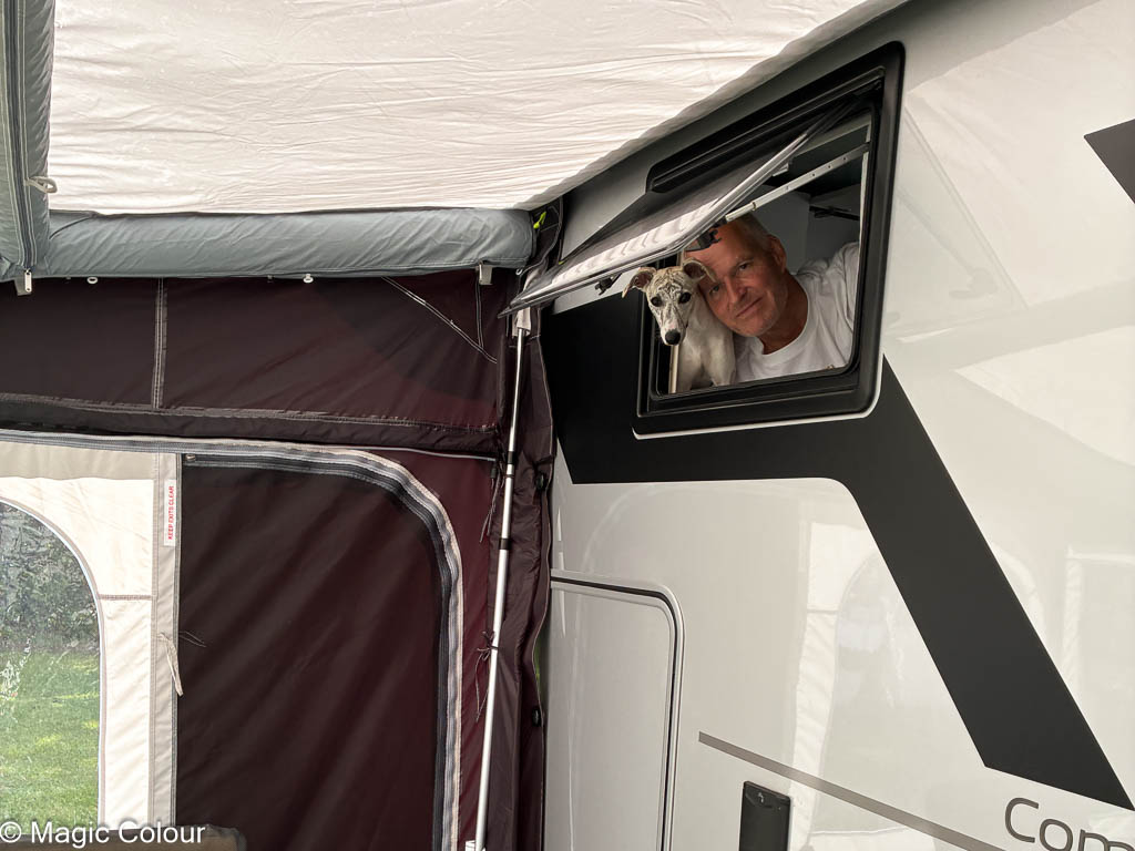 Kennel Magic Colour whippet