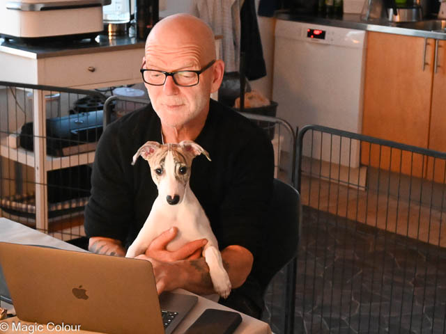 Kennel Magic Colour whippet